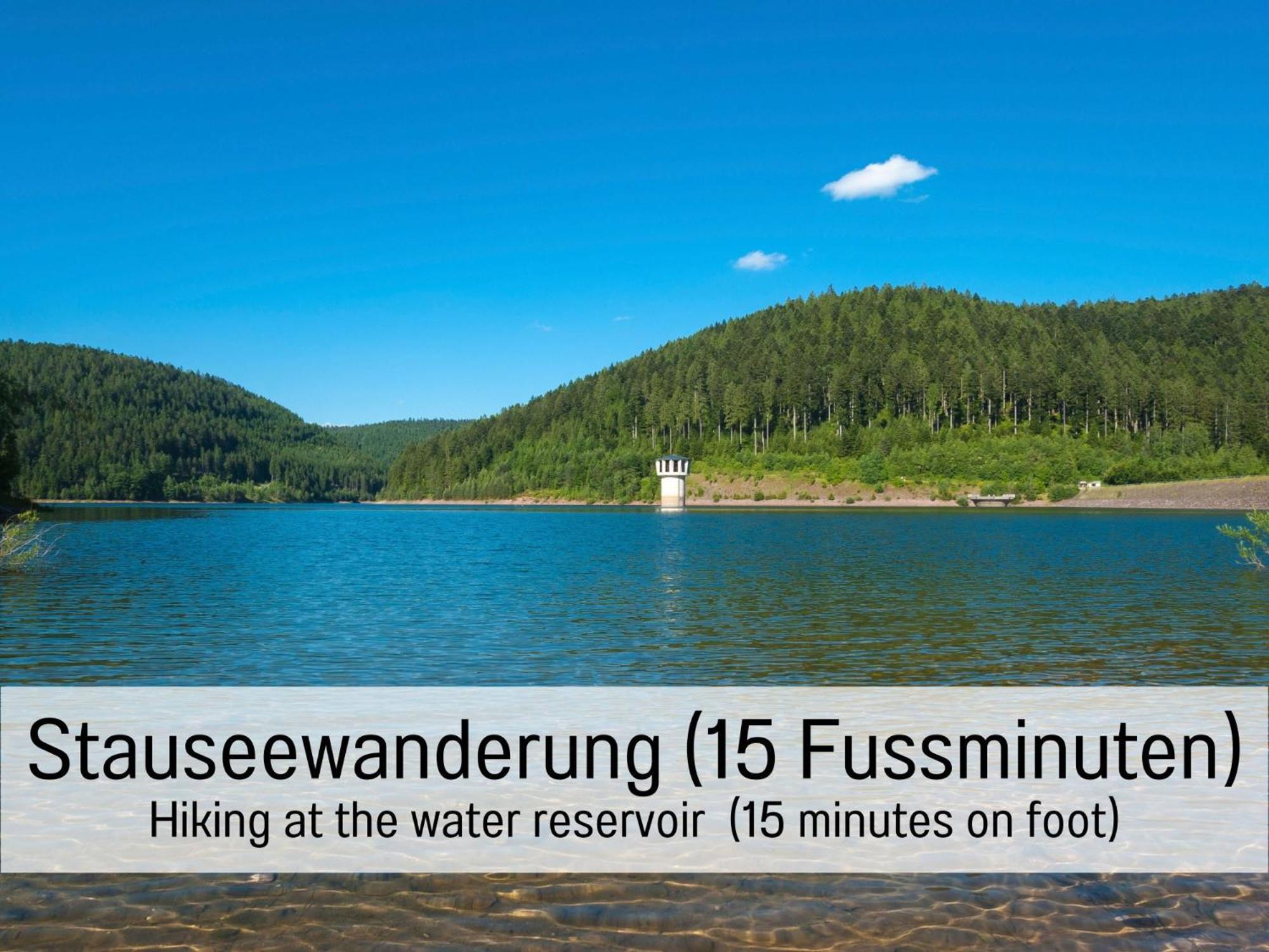 Huettenchalet Waldschatz Ferienhaus